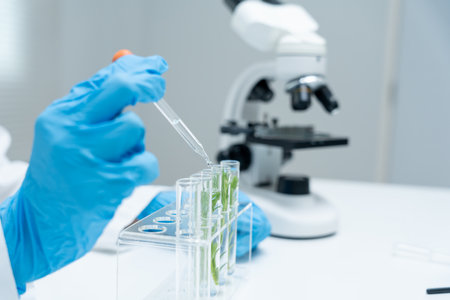 Environmental science, scientists examining plant genetics in test tubes, laboratory testing, laboratory experiments on green plants, testing for chemical residues, food safety.の写真素材