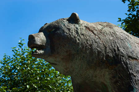 the head and shoulder of a cement bear outside with blue sky and tree leaves in the backgroundの写真素材
