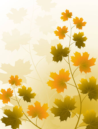 illustrated vector background with autumn colored maple branchesのイラスト素材