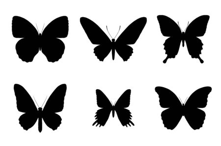 set of black butterfly silhouettes on white backgroundのイラスト素材