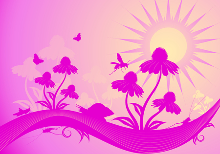 illustrated vector background with flowers, insect and snailのイラスト素材