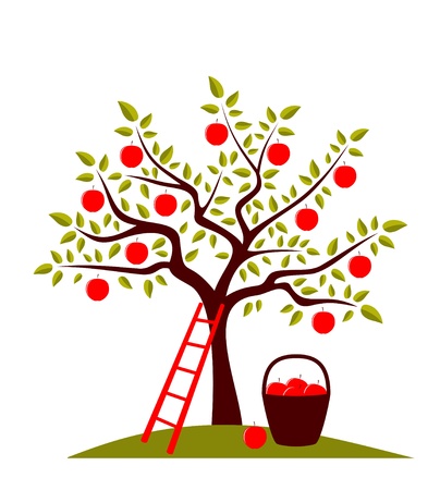 vector apple tree, ladder and basket of applesのイラスト素材