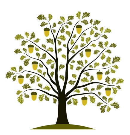 oak tree on white backgroundのイラスト素材