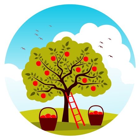 apple tree, ladder and baskets of applesのイラスト素材