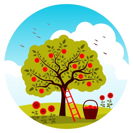 apple tree, ladder and basket of applesのイラスト素材