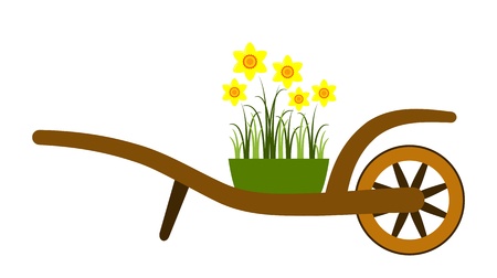 hand barrow and daffodils isolated on white backgroundのイラスト素材