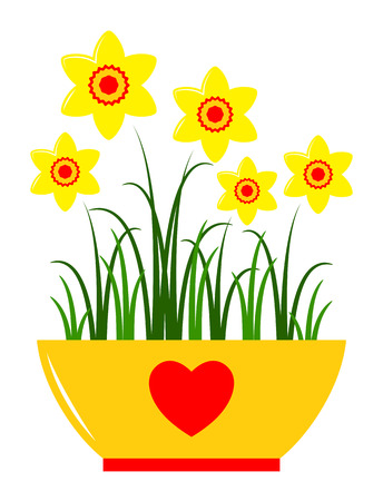 vector daffodils in pot isolated on white backgroundのイラスト素材