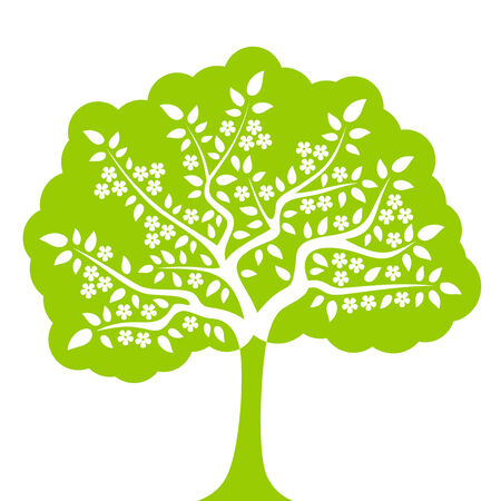 vector flowering tree isolated on white backgroundのイラスト素材