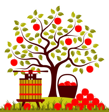 apple tree and fruit press with pile of applesのイラスト素材