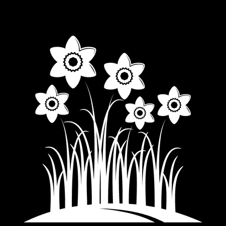 vector daffodils isolated on black backgroundのイラスト素材