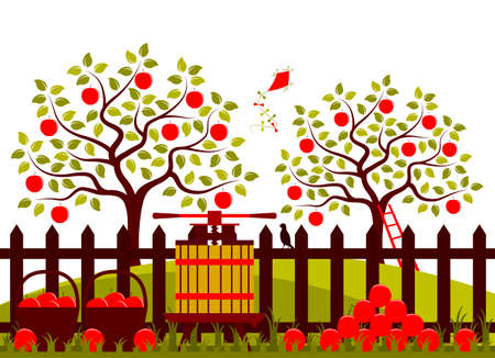 vector apple trees and picket fence with fruit press and baskets of applesのイラスト素材
