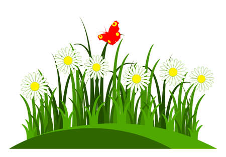  daisies in grass isolated on white backgroundのイラスト素材