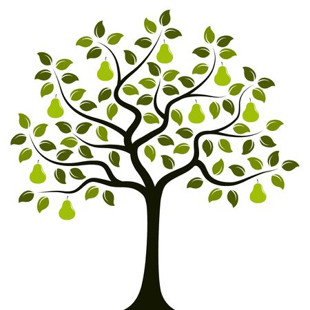 vector pear tree isolated on white backgroundのイラスト素材