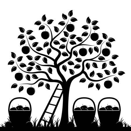 vector apple tree, ladder and baskets of apples isolated on white backgroundのイラスト素材