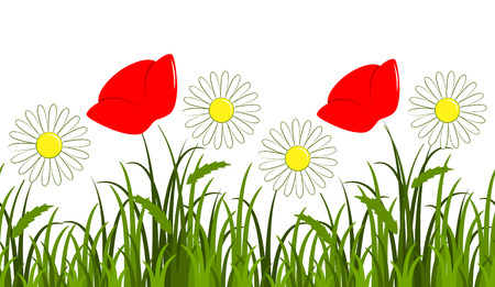 vector seamless border with daisies and corn poppy in grass isolated on white backgroundのイラスト素材