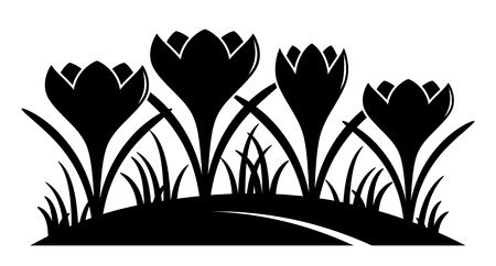 vector clump of crocuses isolated on white backgroundのイラスト素材