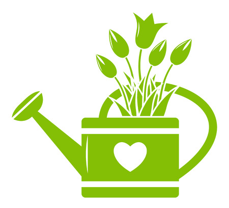 vector tulips in watering can isolated on white backgroundのイラスト素材