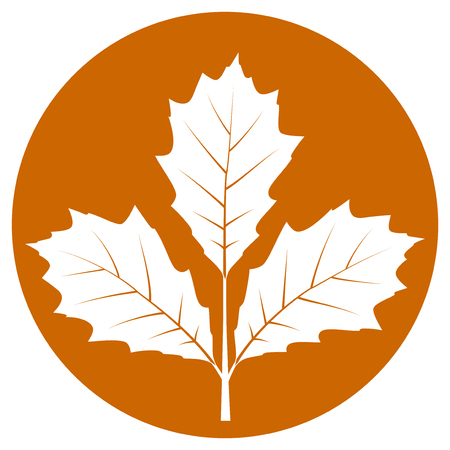 vector oak twig isolated on orange roundのイラスト素材