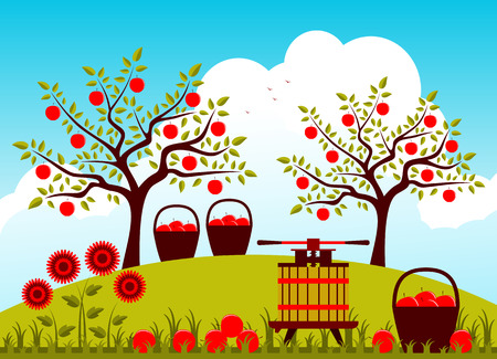 vector fruit press and baskets of apples in apple orchardのイラスト素材