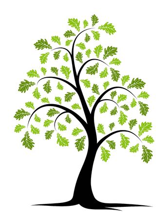 vector oak tree isolated on white backgroundのイラスト素材