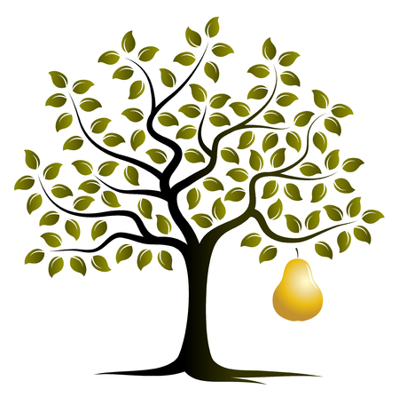 vector pear tree with one big golden pear isolated on white backgroundのイラスト素材
