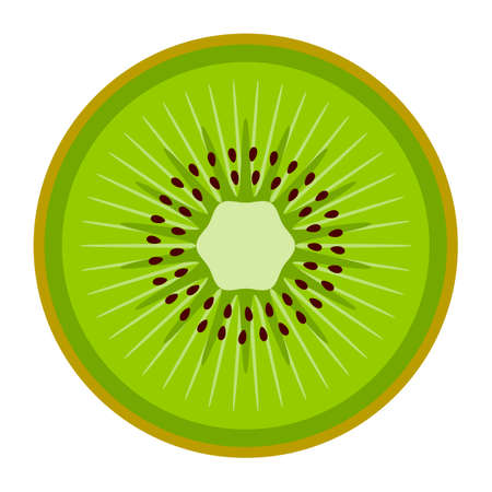 vector kiwi slice isolated on white backgroundのイラスト素材