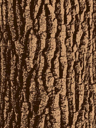 vector texture of oak tree barkのイラスト素材