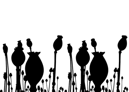 vector poppy capsules border isolated on white backgroundのイラスト素材