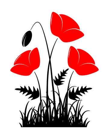 vector clump of corn poppies in grass isolated on white backgroundのイラスト素材