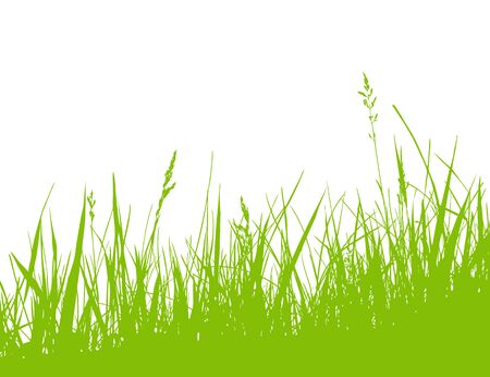 vector grass isolated on white backgroundのイラスト素材