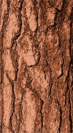 vector texture of pine tree barkのイラスト素材