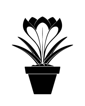 vector crocus in pot isolated on white backgroundのイラスト素材