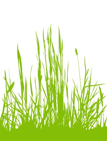 vector grass isolated on white backgroundのイラスト素材