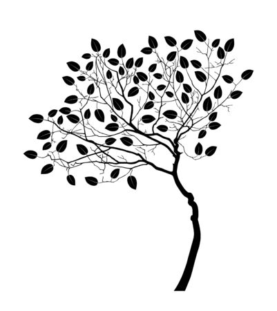 vector tree isolated on white backgroundのイラスト素材