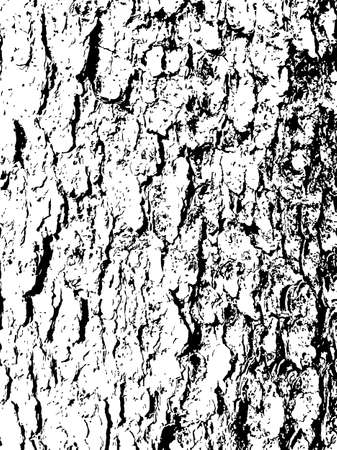 vector black and white texture of spruce tree barkのイラスト素材