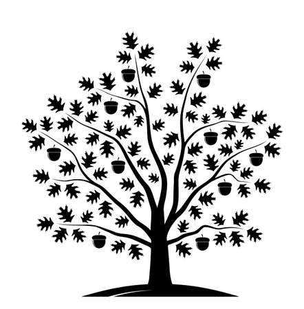 vector oak tree isolated on white backgroundのイラスト素材