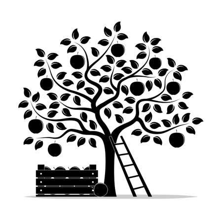 vector apple tree, wooden crate of apples and ladder isolated on white backgroundのイラスト素材