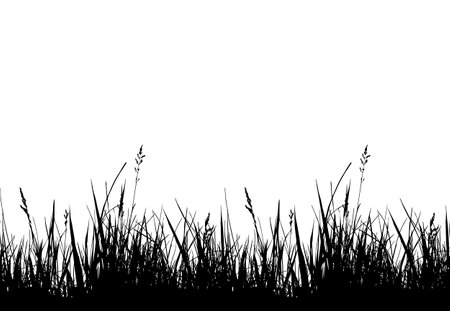 vector seamless grass border isolated on white backgroundのイラスト素材