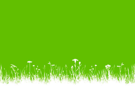 vector seamless border with meadow flowers in grass on green backgroundのイラスト素材