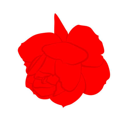 vector red rose isolated on white backgroundのイラスト素材