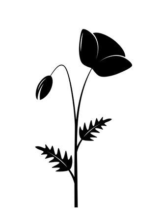 vector corn poppy isolated on white backgroundのイラスト素材