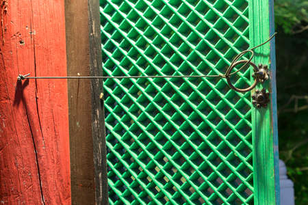 green tempe doorの写真素材