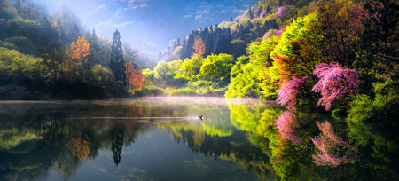 the autumn of the lakeの写真素材