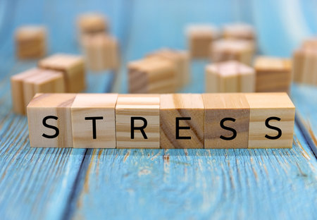 Stress - word from wooden blocks with letters, great worry caused by a difficult situation stress conceptの写真素材