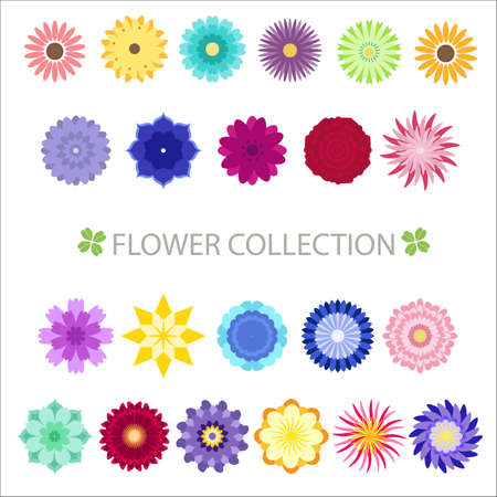 Flower Collectionのイラスト素材
