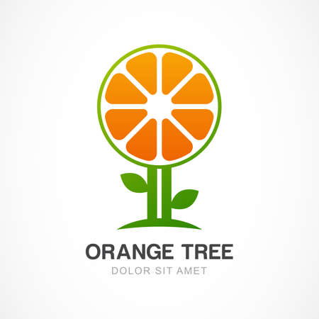 Vector  design template. Orange tree illustration. Garden, organic or ecology icon.のイラスト素材