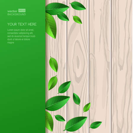Natural wooden texture, fresh leaves and green background with place for text. Vector spring and summer illustration.のイラスト素材