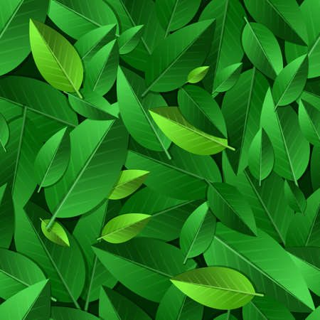 Vector seamless summer pattern with green leaves. Nature ecology organic background.のイラスト素材
