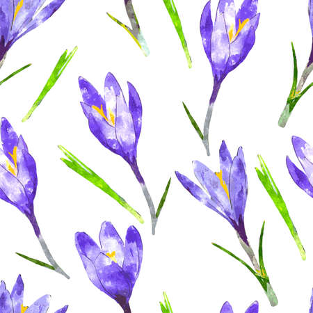 Watercolor seamless pattern with purple crocus flower and green leaves. Floral background. Vector illustration.のイラスト素材