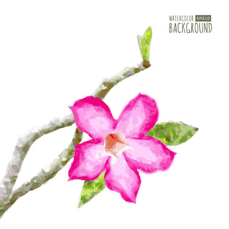 Watercolor vector background with tree branch and pink tropical flower. Floral  illustration.のイラスト素材